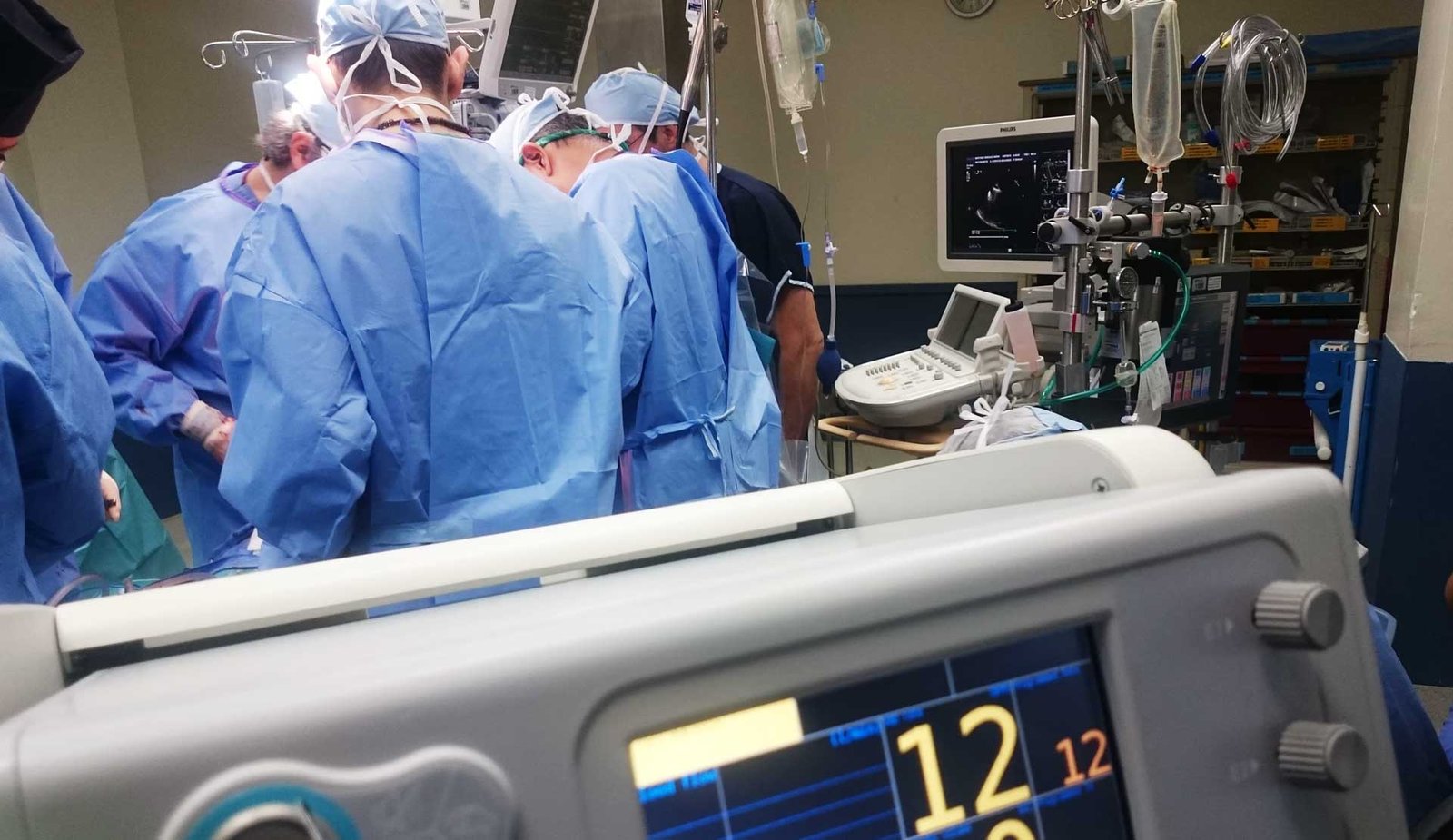 Daily News Setting the Body’s ‘Serial Killers’ Loose on Cancer