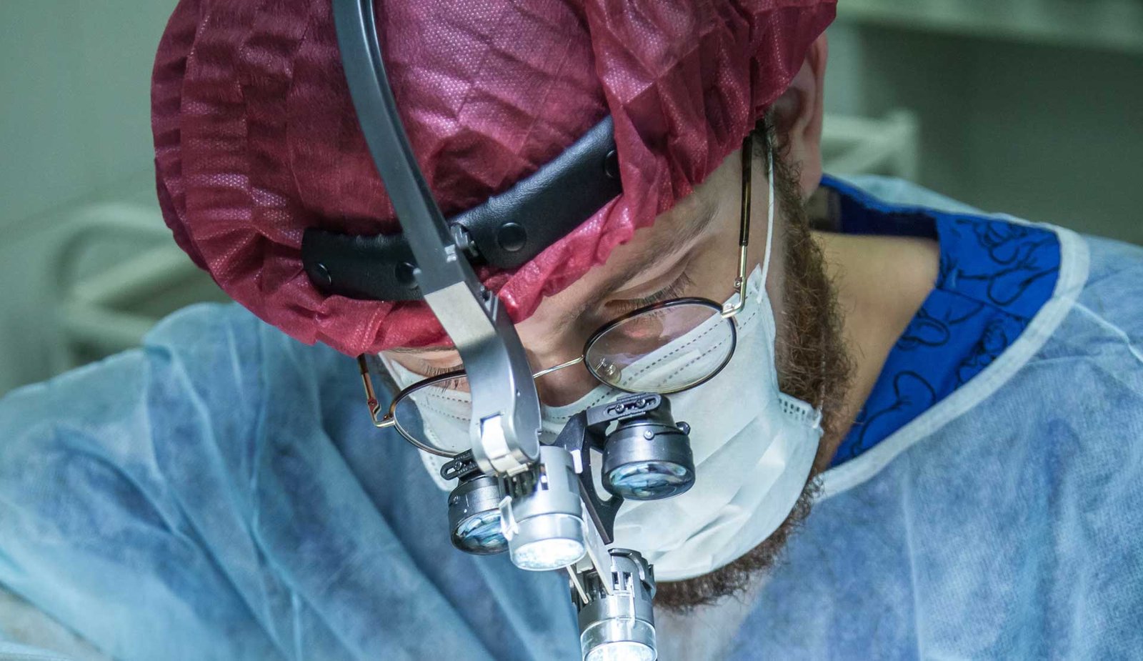 BioTechnology – Efficient Stem Cells Can Grow in Animals