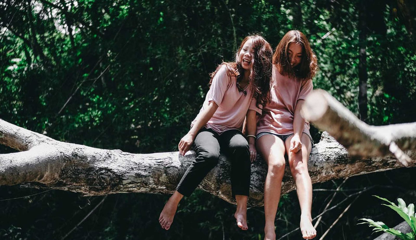 Rijksmuseum visitor guide: how to master the reborn museum